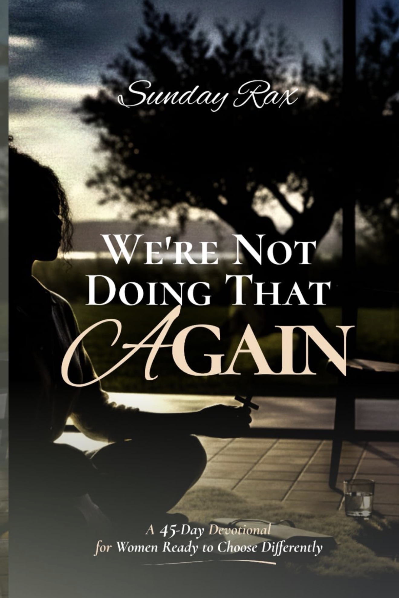We're Not Doing That Again book cover